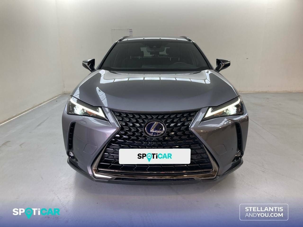 lexus ux 2021 / foto grande (2)