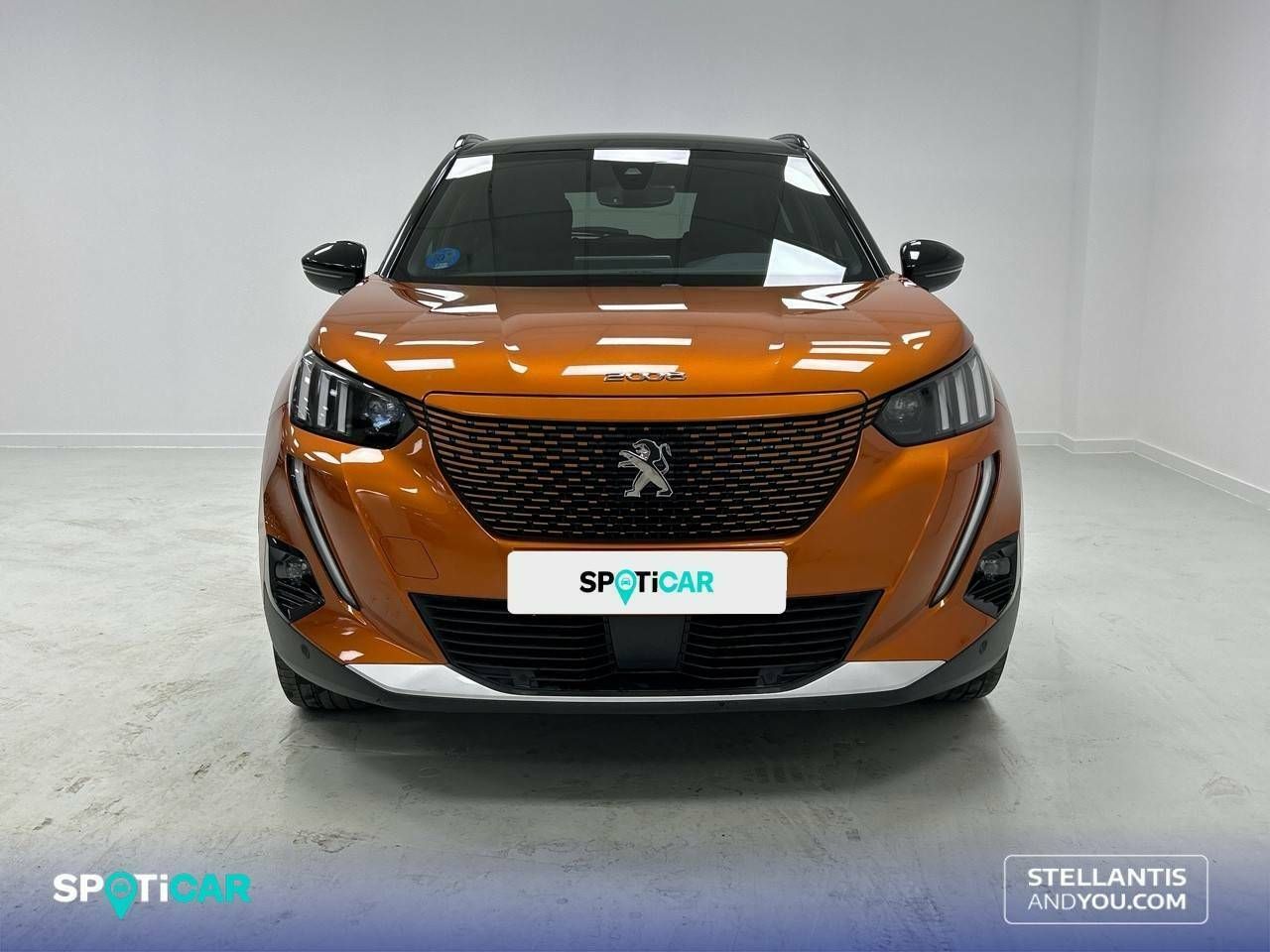 peugeot 2008 2021 / foto grande (2)