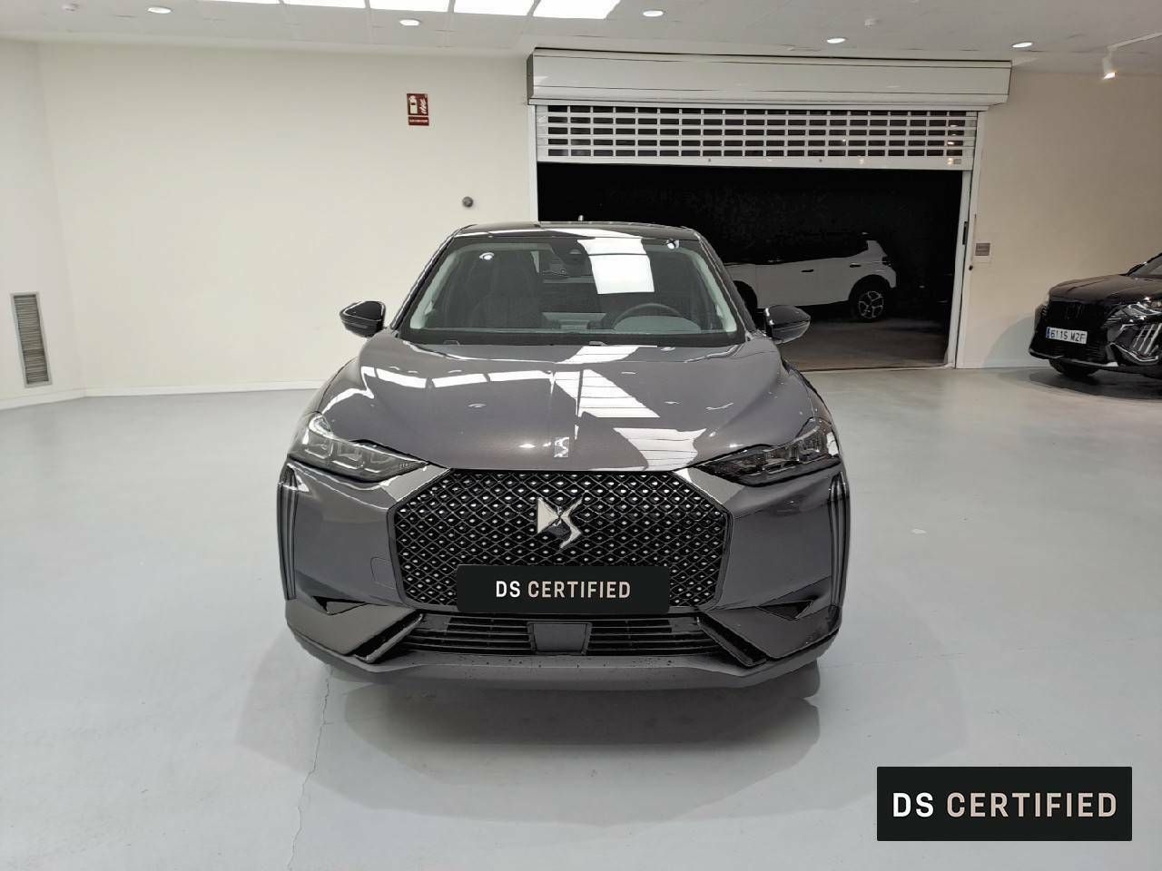 ds ds 3 2025 / foto grande (2)