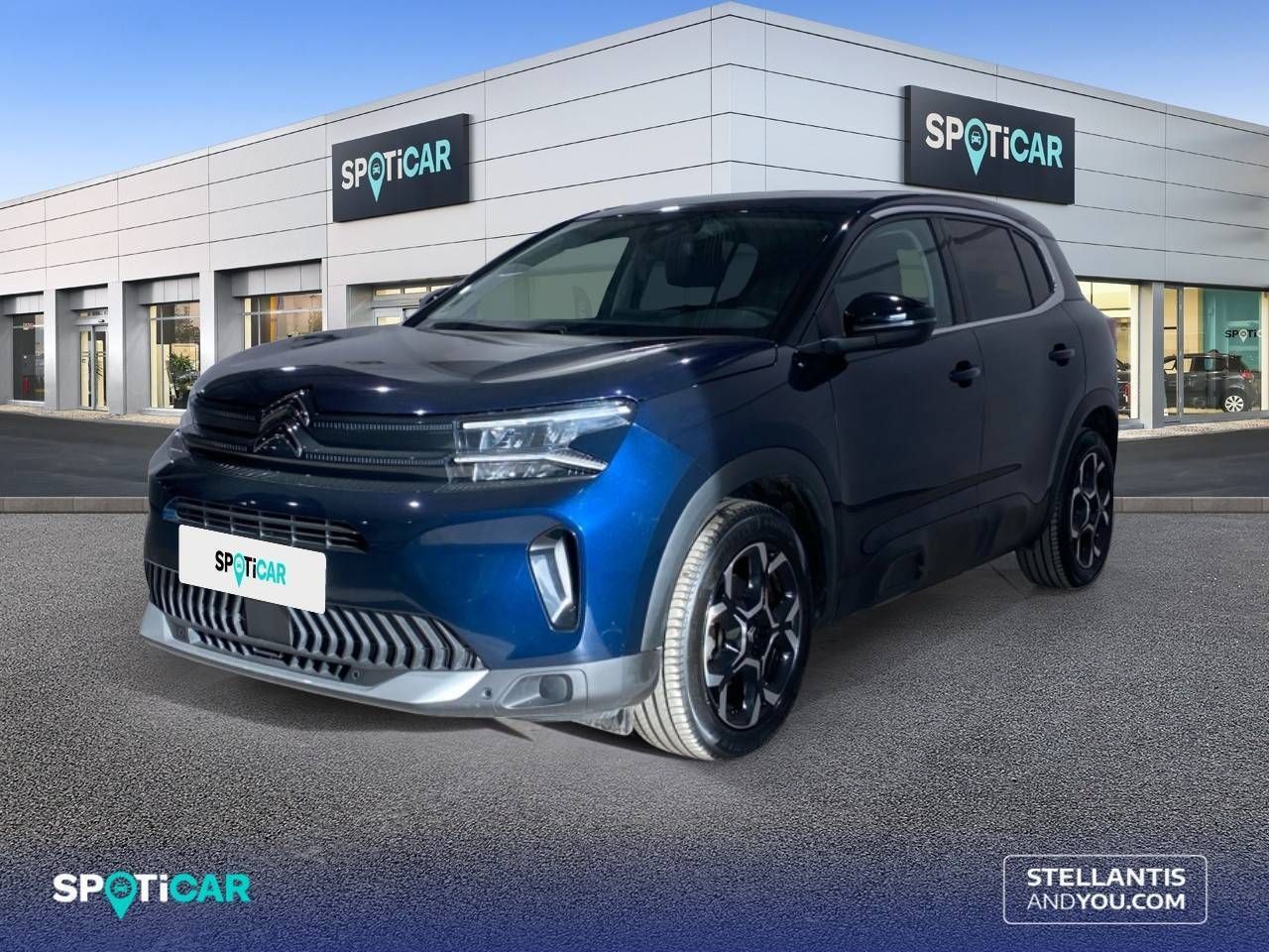 Citroën C5 Aircross BlueHdi 96kW (130CV) S&S EAT8 Plus