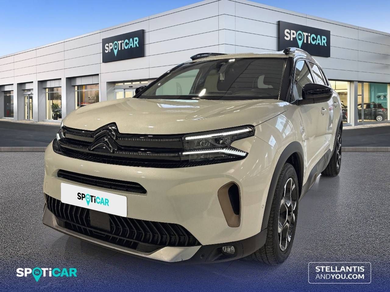 Citroën C5 Aircross BlueHdi 96kW (130CV) S&S EAT8 C Series