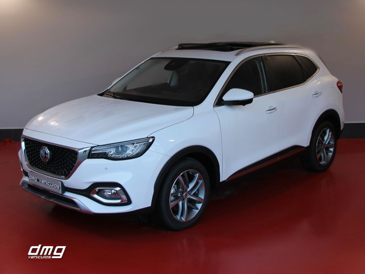 mg ehs 2022 / foto grande (3)