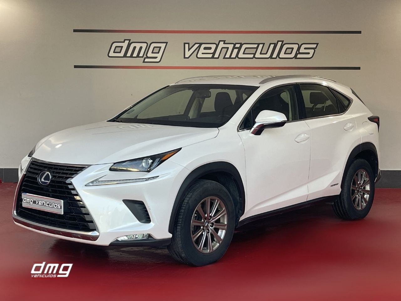 lexus nx 2018 / foto grande (2)