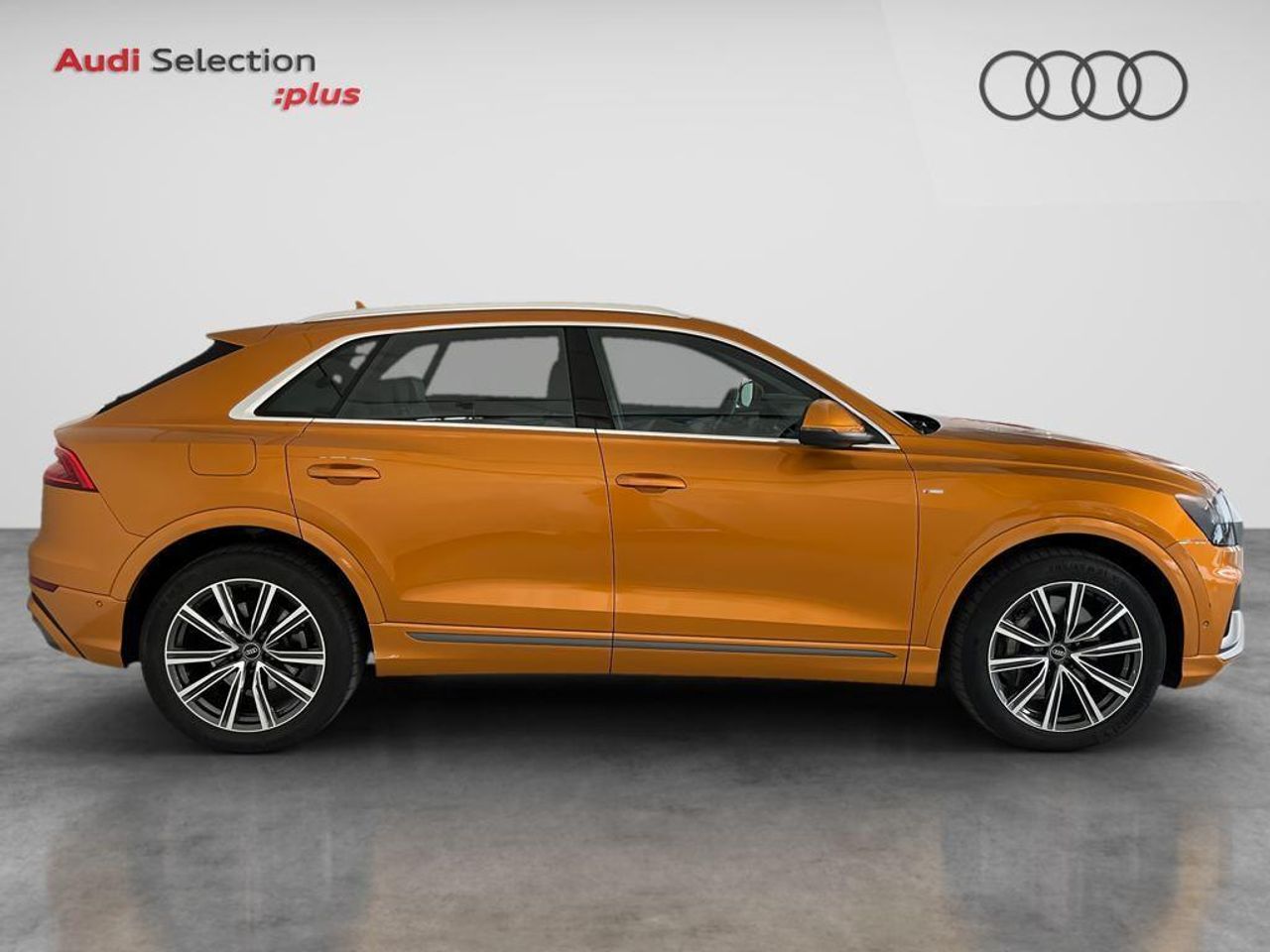 Audi Q8 S line plus 55 TFSIe quattro 280 kW (381 CV) tiptron - foto 3