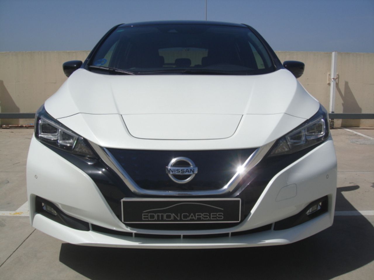nissan leaf 2019 / foto grande (2)