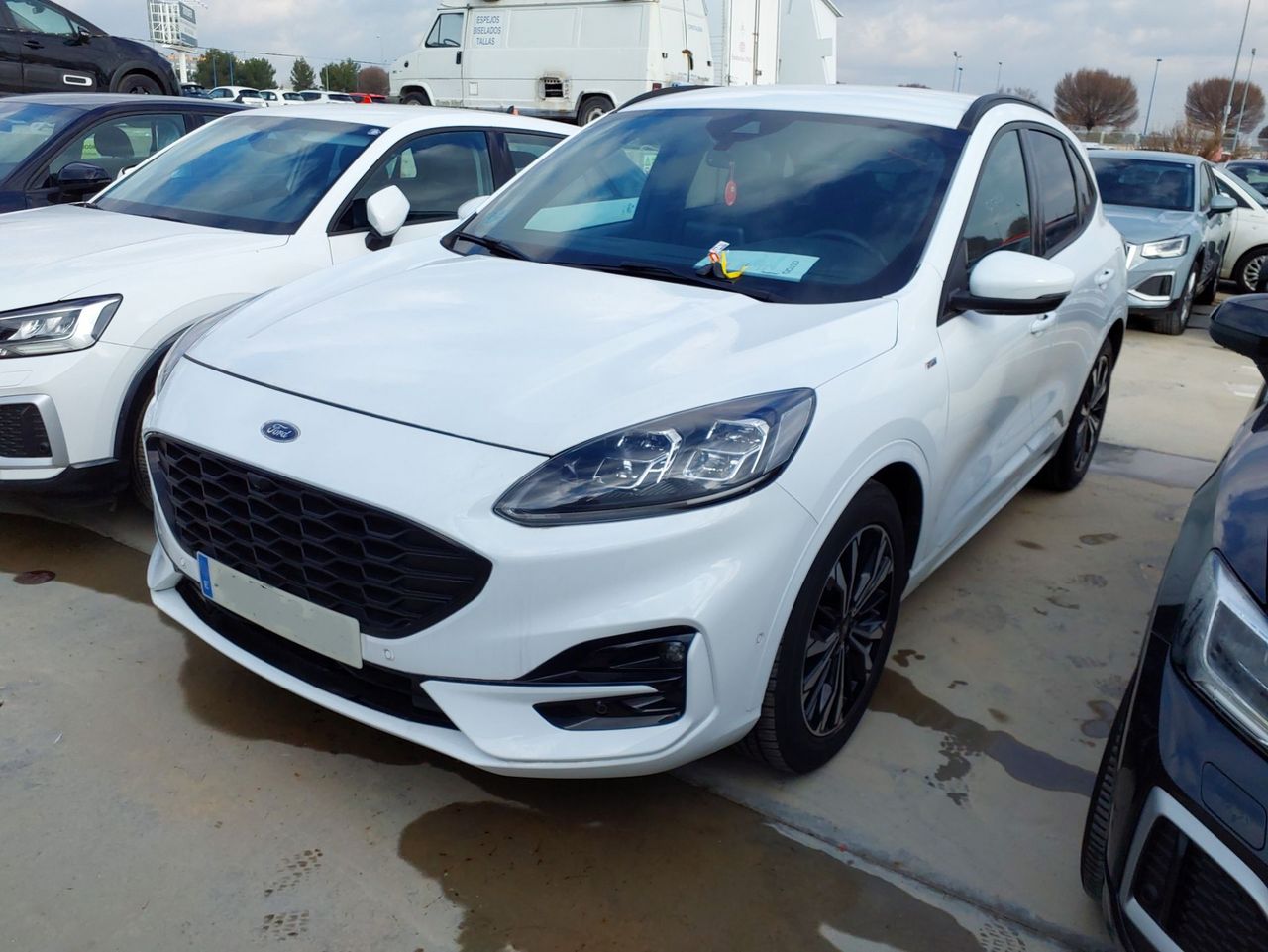 ford kuga 2022 / foto grande (2)
