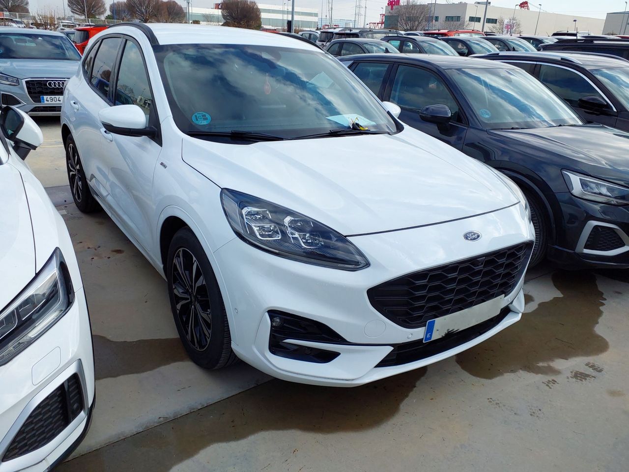 Foto ford kuga 2022 /