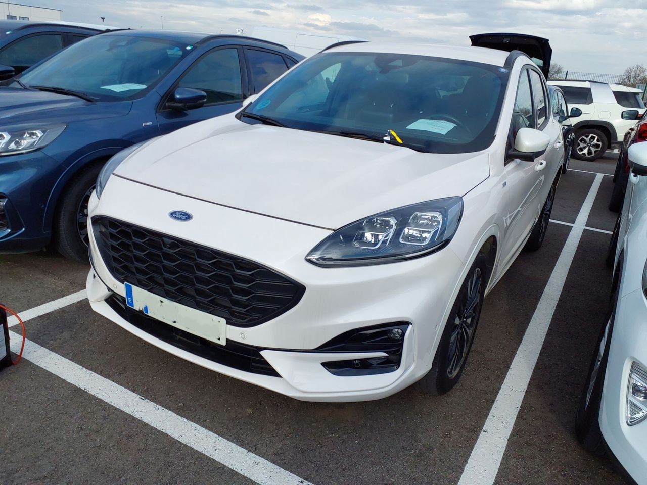 ford kuga 2022 / foto grande (2)