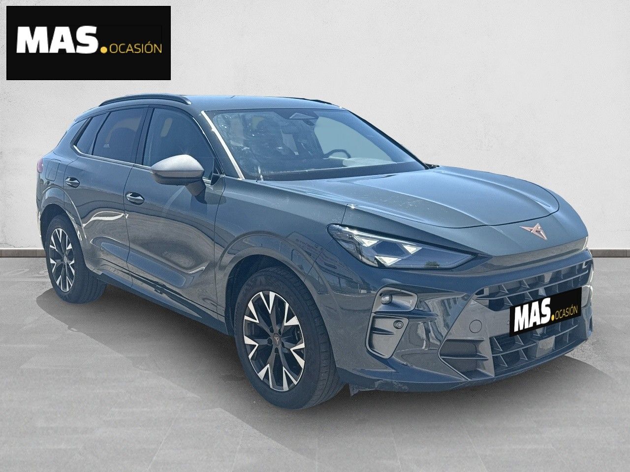 Cupra Terramar 1.5 eTSI 110kW (150 CV) DSG - Foto 4