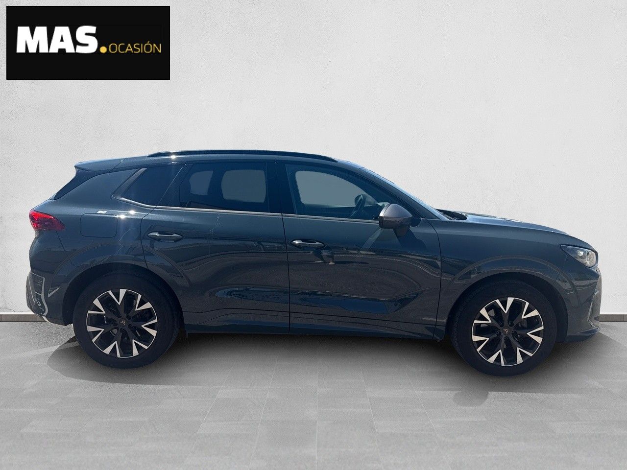 Cupra Terramar 1.5 eTSI 110kW (150 CV) DSG - Foto 5