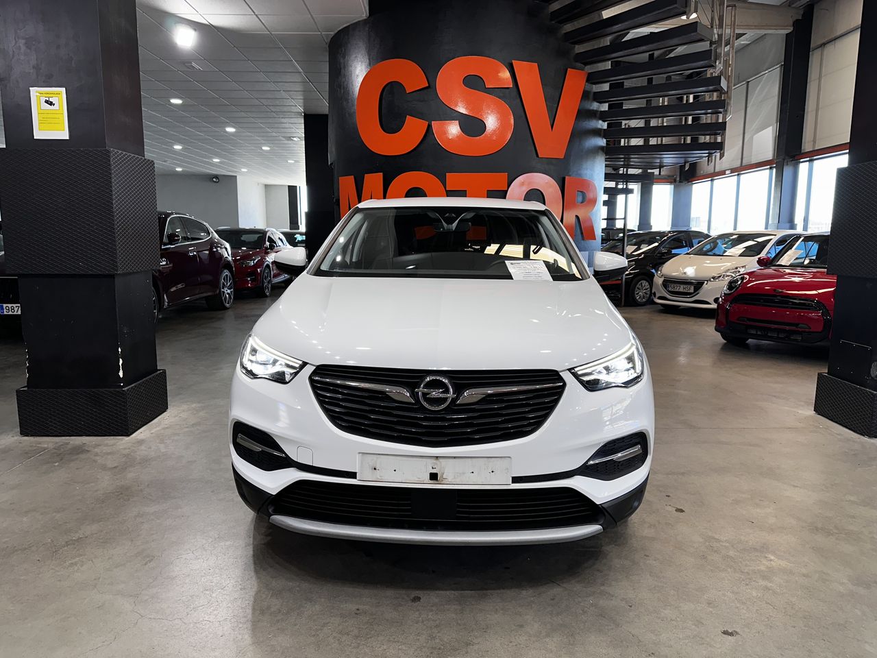opel grandland 2021 / foto grande (3)