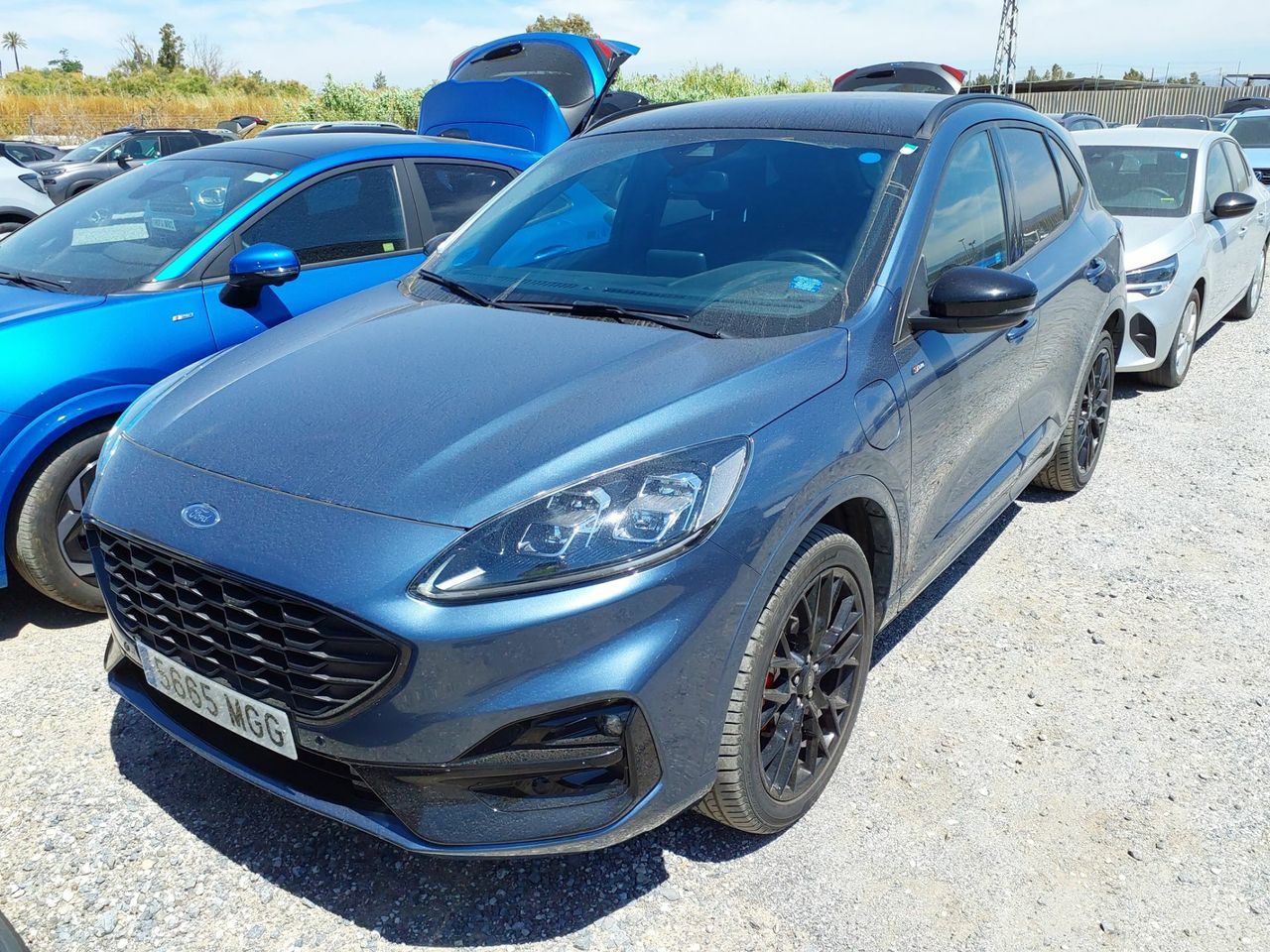 ford kuga 2023 / foto grande (2)