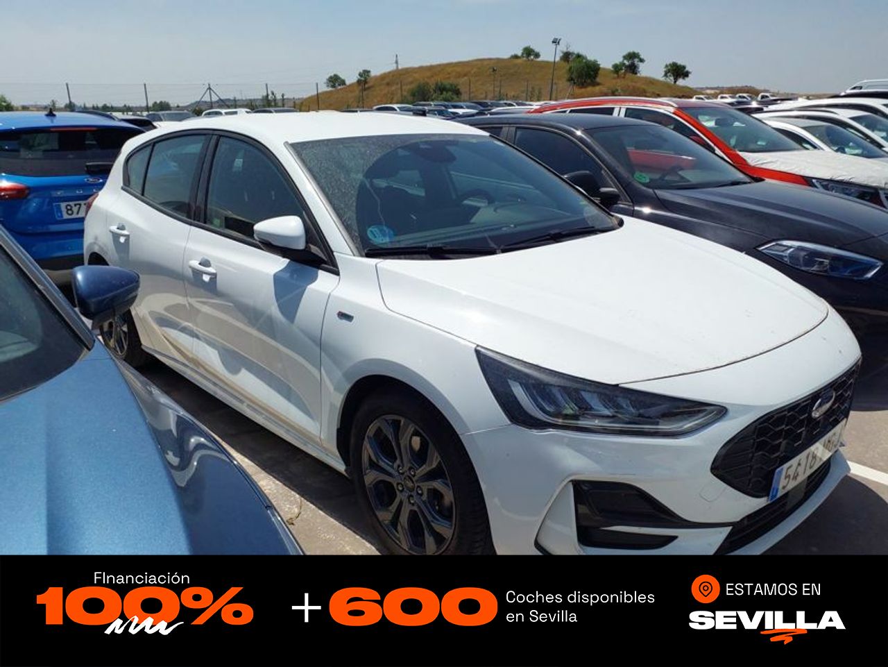 ford focus 2023 /