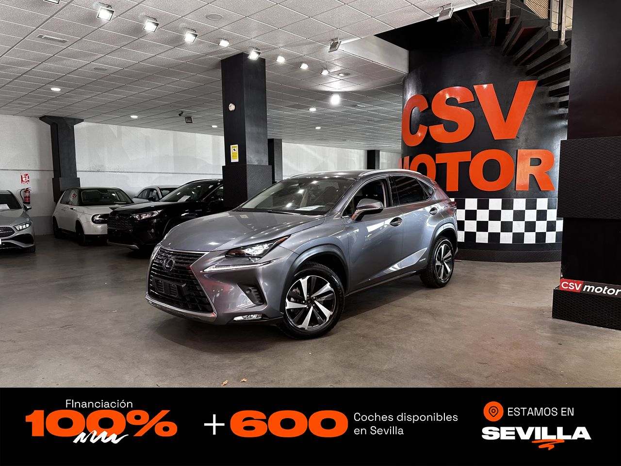 lexus nx 2020 /