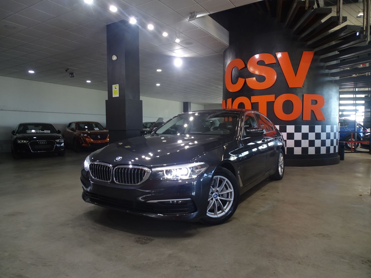 bmw serie 5 2019 / foto grande (2)
