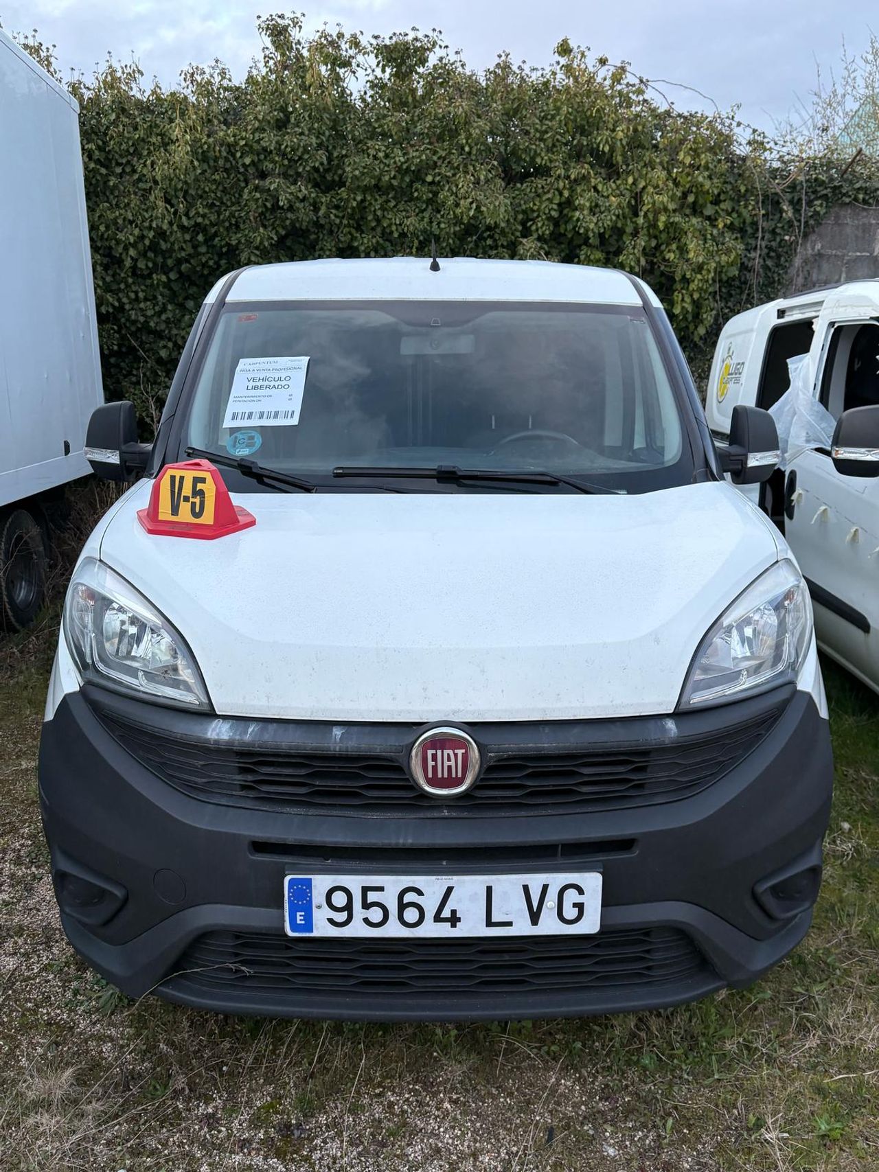 Foto fiat doblò 2017 /