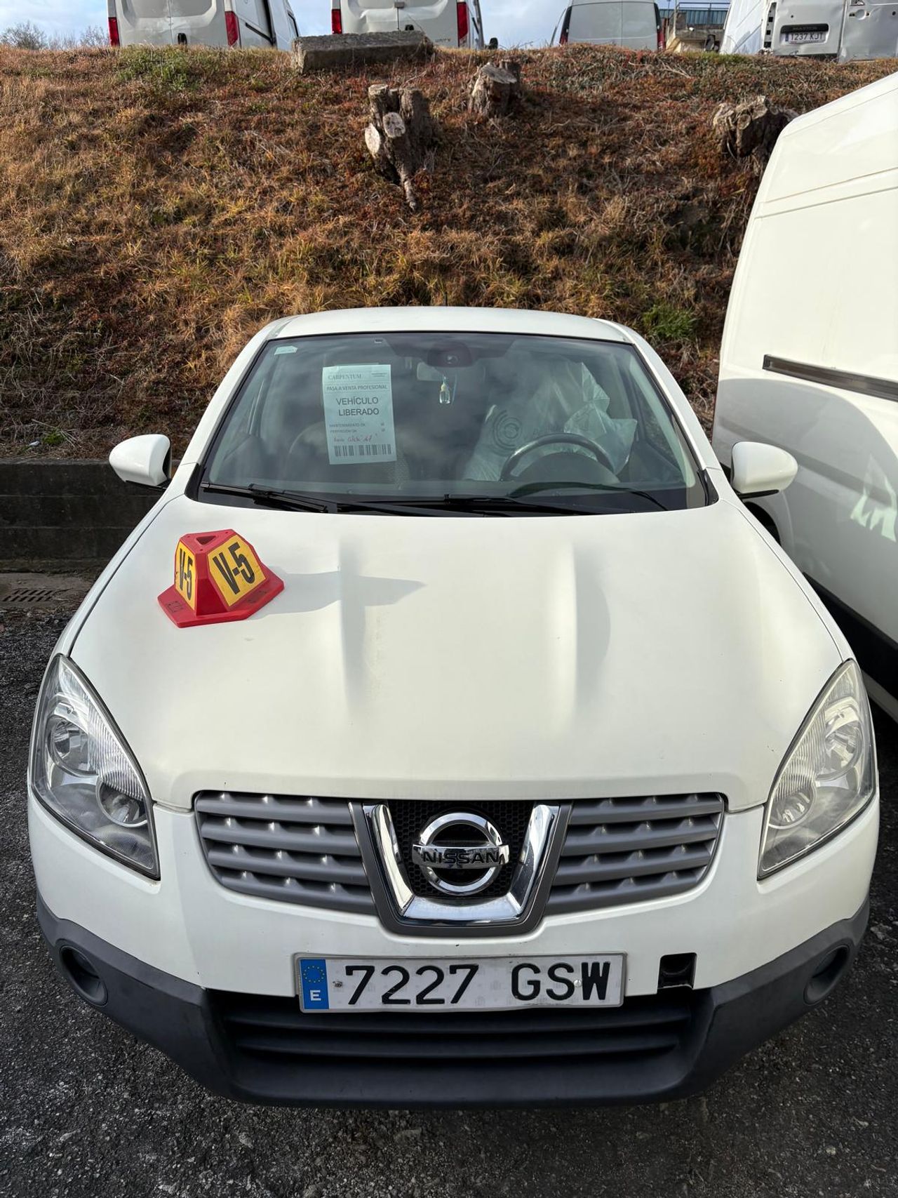 Foto nissan qashqai 2010 /