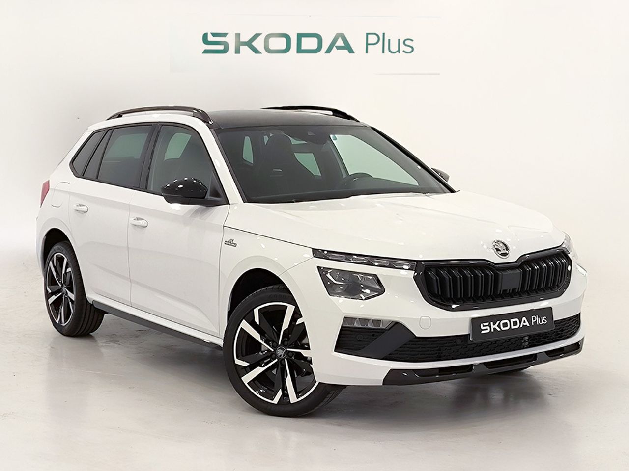 Skoda Kamiq 1.5 Tsi 150 Cv Dsg Monte Carlo