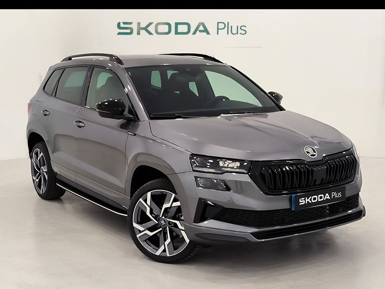 Skoda Karoq Sportline 1.5 Tsi 150 Cv Dsg
