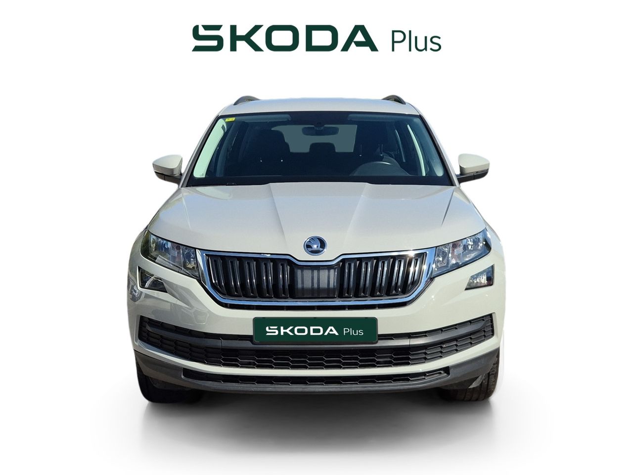 Skoda Kodiaq 1.5 Tsi 150 Cv 4x2 Active - Foto 2