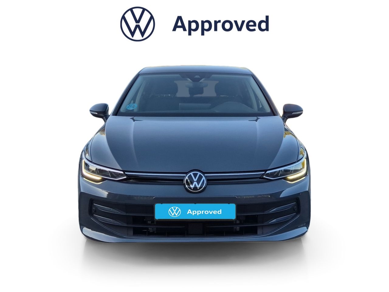 Volkswagen Golf 2.0 Tdi 115 Cv Mas - Foto 2