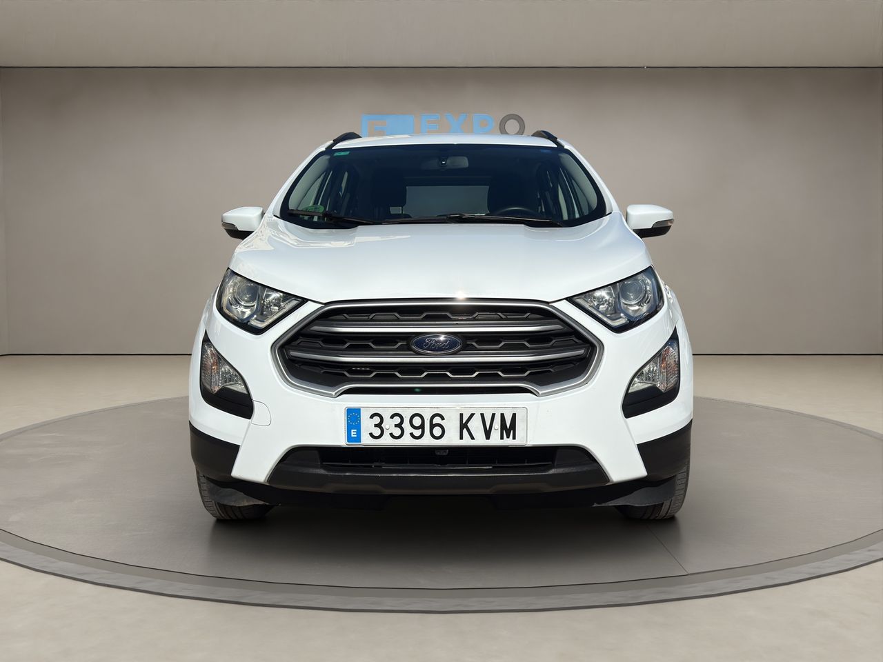ford ecosport 2019 / foto grande (2)