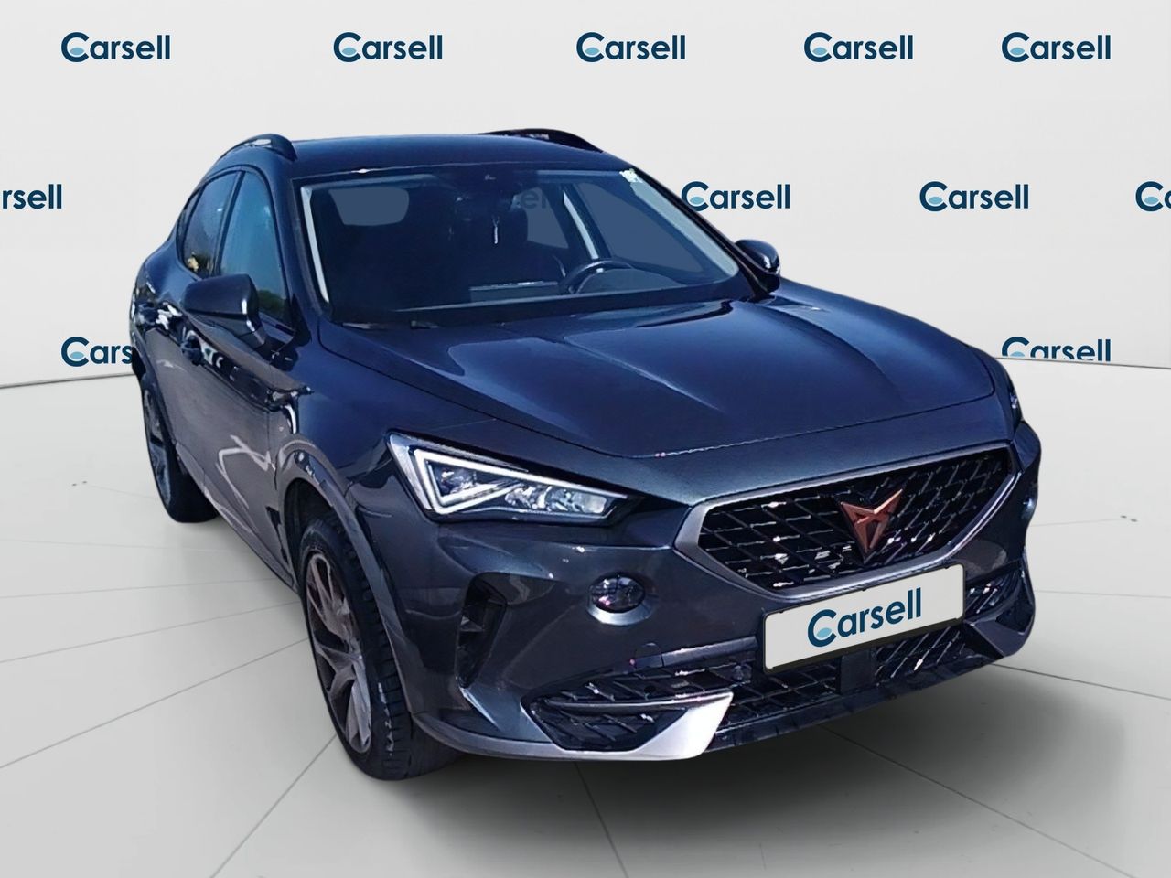 Cupra Formentor 1.5 Tsi 110kw (150 Cv) Dsg - Foto 2