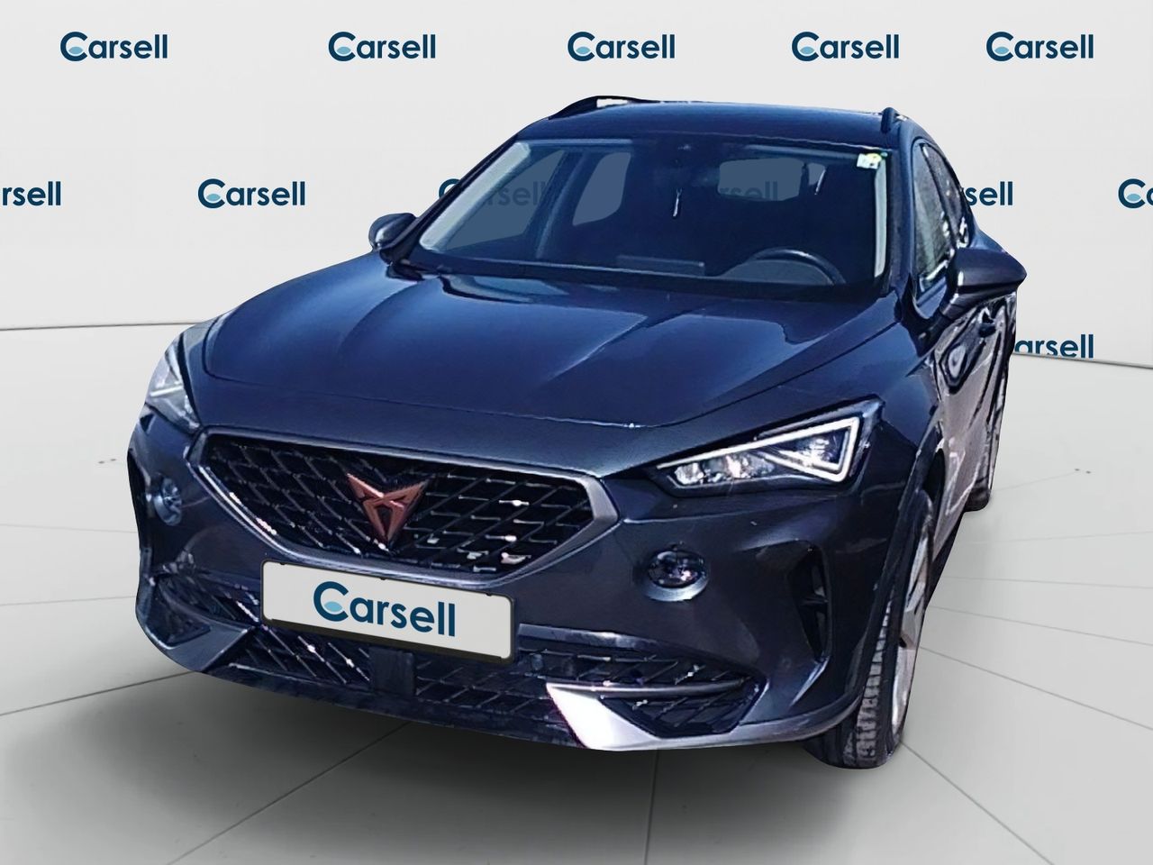 Cupra Formentor 1.5 Tsi 110kw (150 Cv) Dsg - Foto 2
