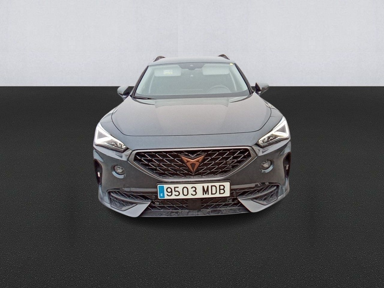 Cupra Formentor 2.0 Tdi 110kw (150 Cv) - Foto 2