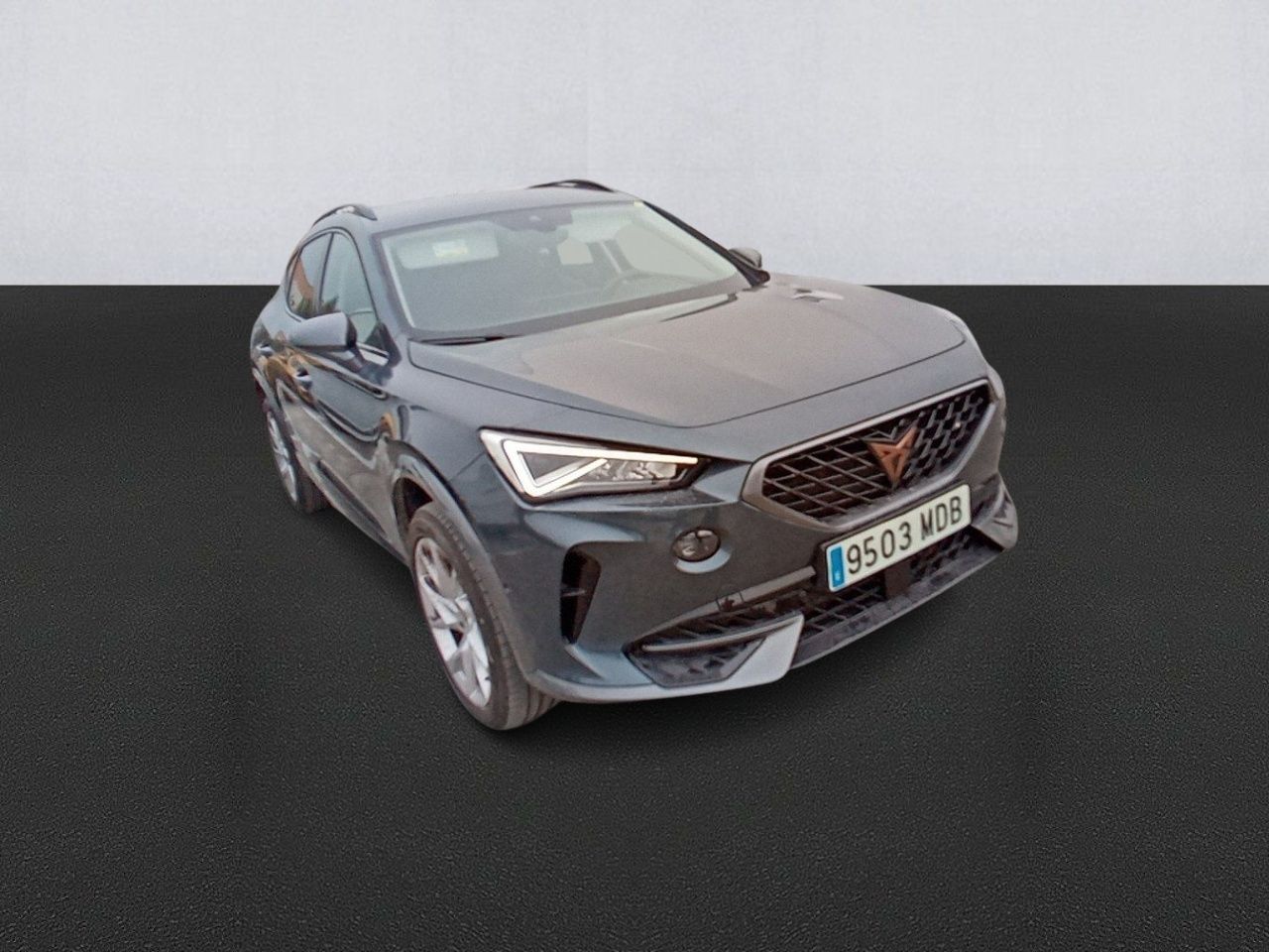 Cupra Formentor 2.0 Tdi 110kw (150 Cv) - Foto 2