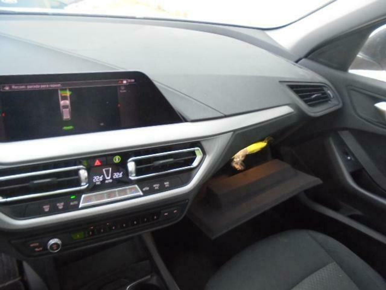 Bmw Series 1 116d - Foto 2
