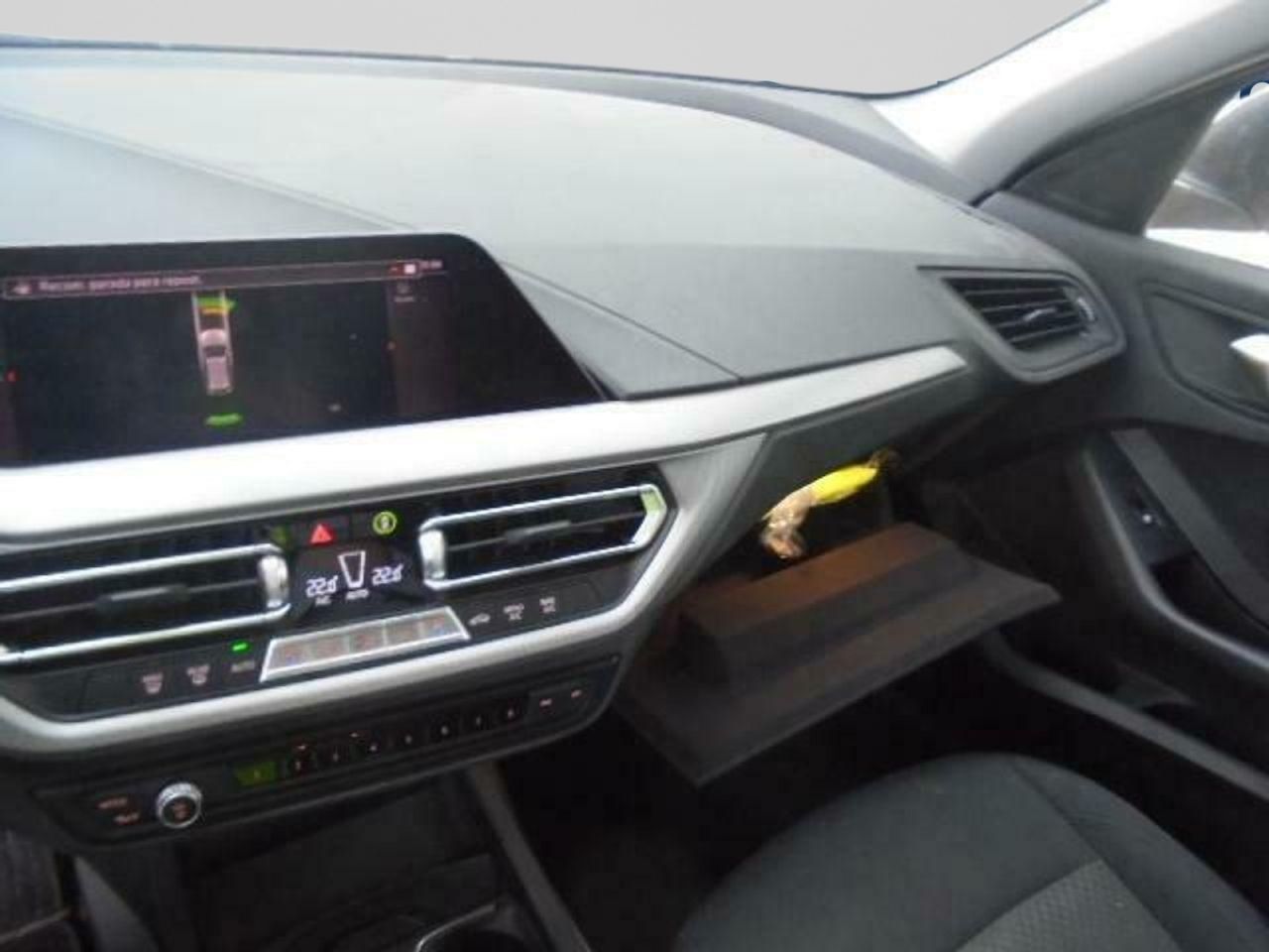Bmw Series 1 116d - Foto 2