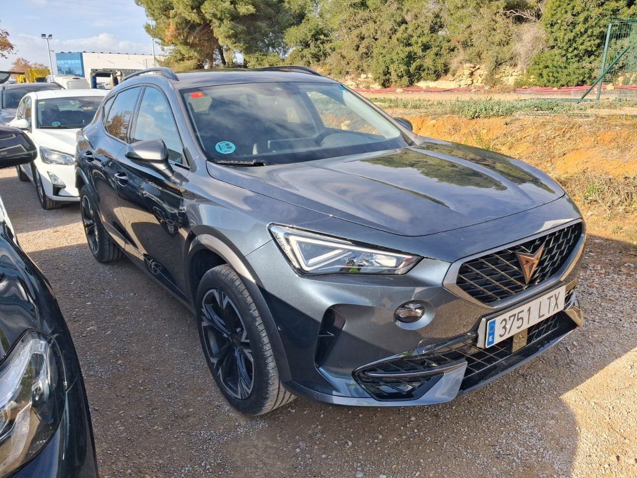 Cupra Formentor 2.0 Tdi 110kw (150 Cv) - Foto 2