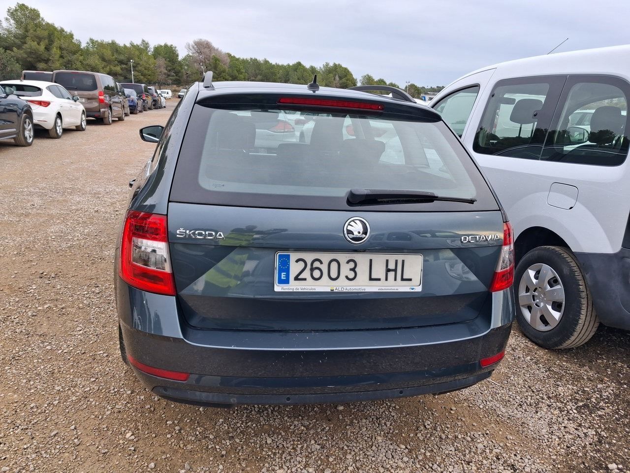 Skoda Octavia Combi 1.6 Tdi Cr 85kw (115cv) Ambition - Foto 2