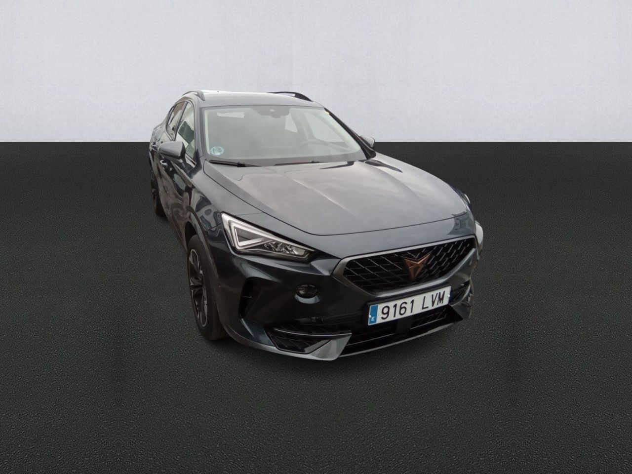 Cupra Formentor 2.0 Tdi 110kw (150 Cv) - Foto 2