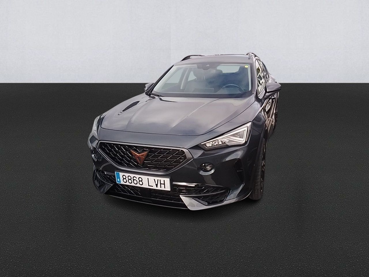 Cupra Formentor 2.0 Tdi 110kw (150 Cv) - Foto 2