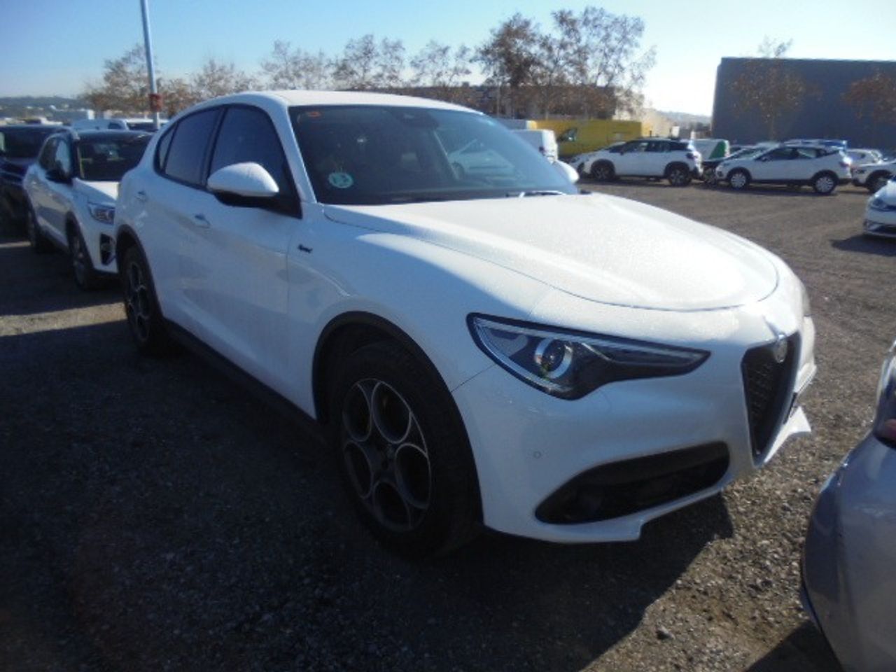 Alfa Romeo Stelvio (o) 2.2 Diésel 140kw (190cv) Sprint+ Q4 - Foto 2