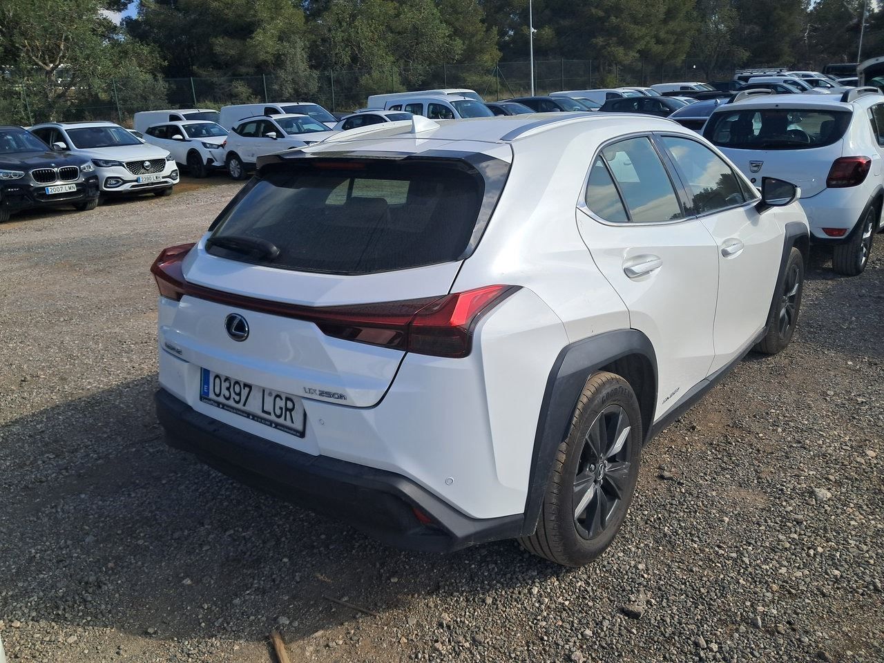 Lexus Ux 2.0 250h Business Navigation - Foto 2