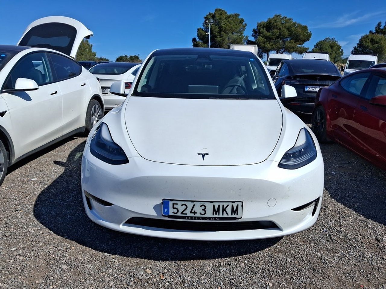 Tesla Model Y Gran Autonomía 4wd - Foto 2