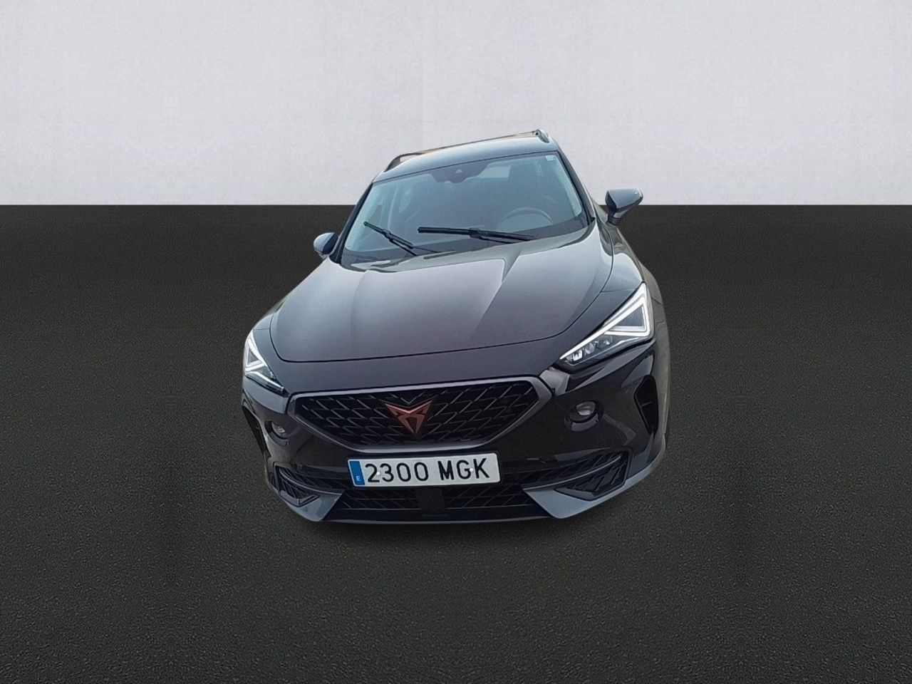 Cupra Formentor 1.5 Tsi 110kw (150 Cv) Dsg - Foto 2