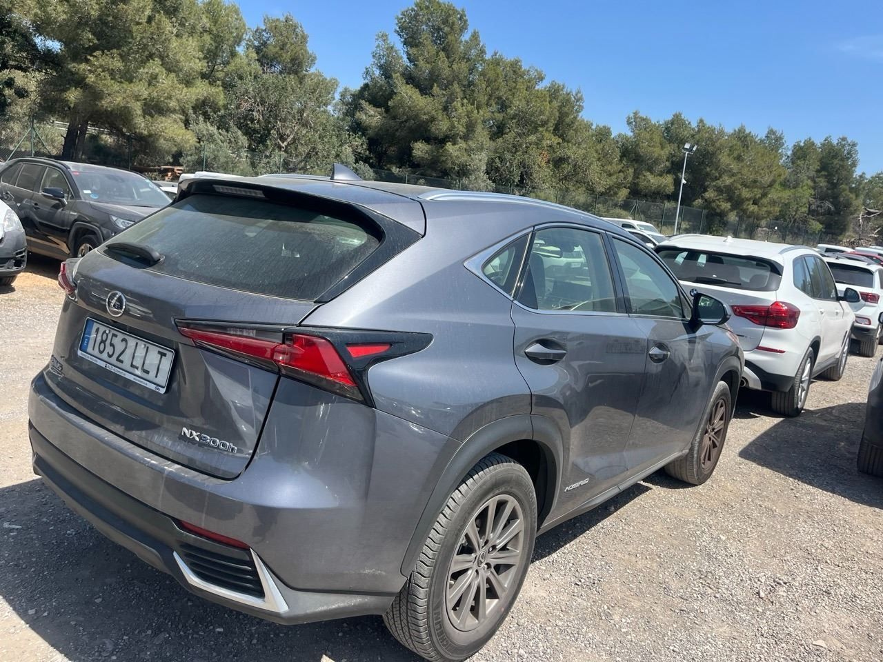 Lexus Nx 2.5 300h Business Navigation 2wd - Foto 2