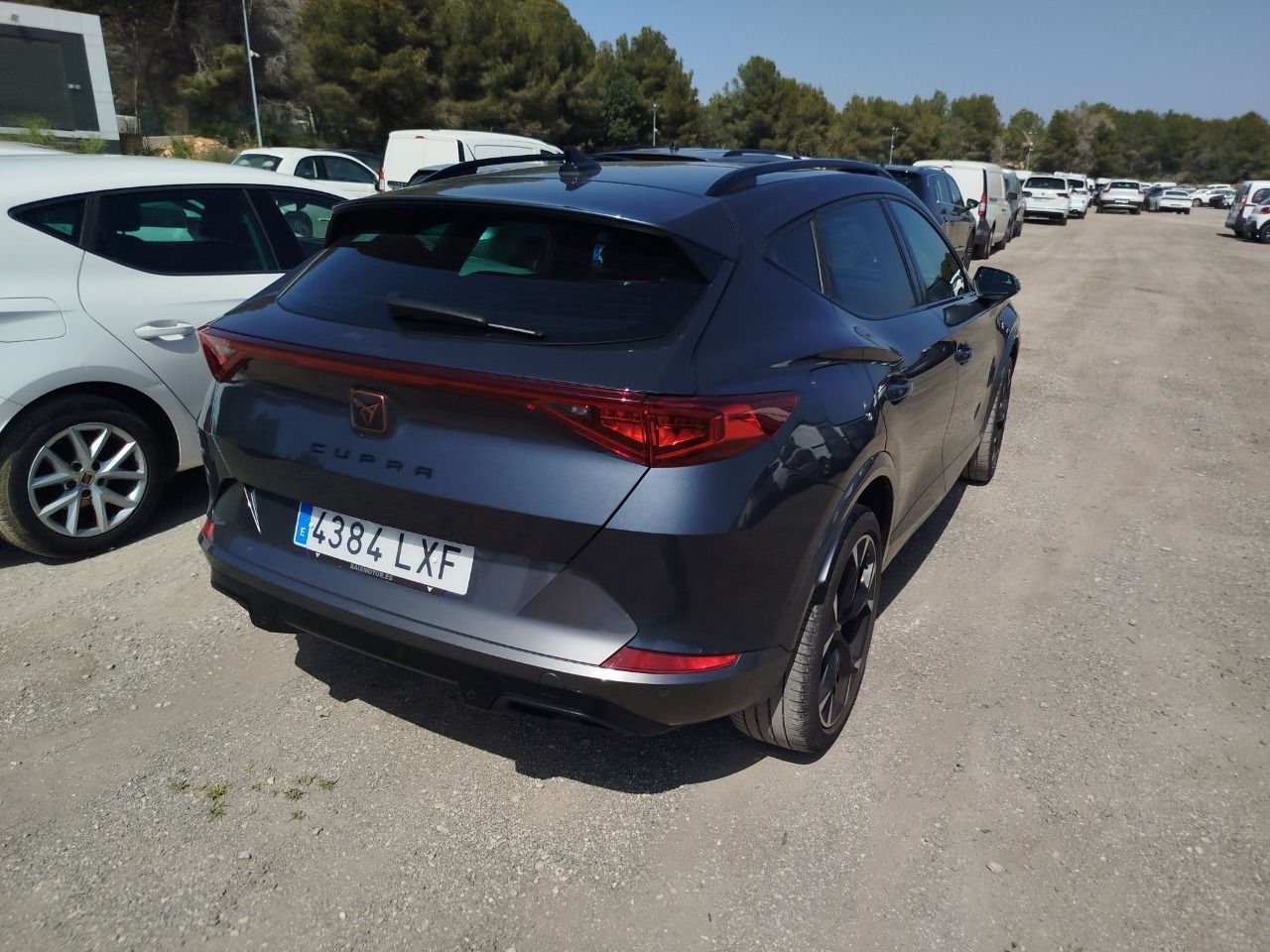 Cupra Formentor 1.5 Tsi 110kw (150 Cv) Dsg - Foto 2