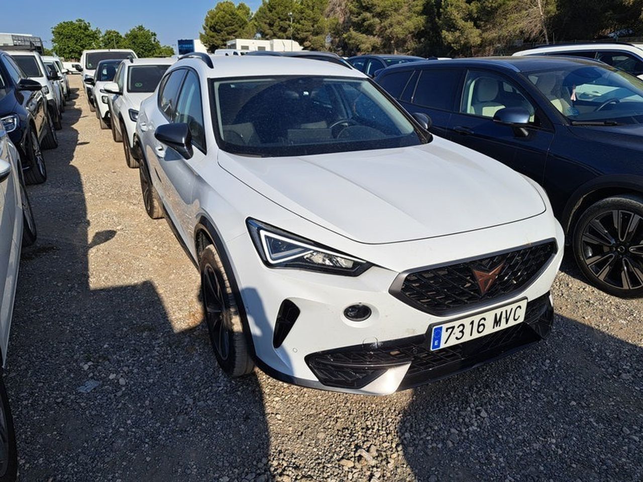 Cupra Formentor 1.5 Tsi 110kw (150 Cv) Dsg - Foto 2