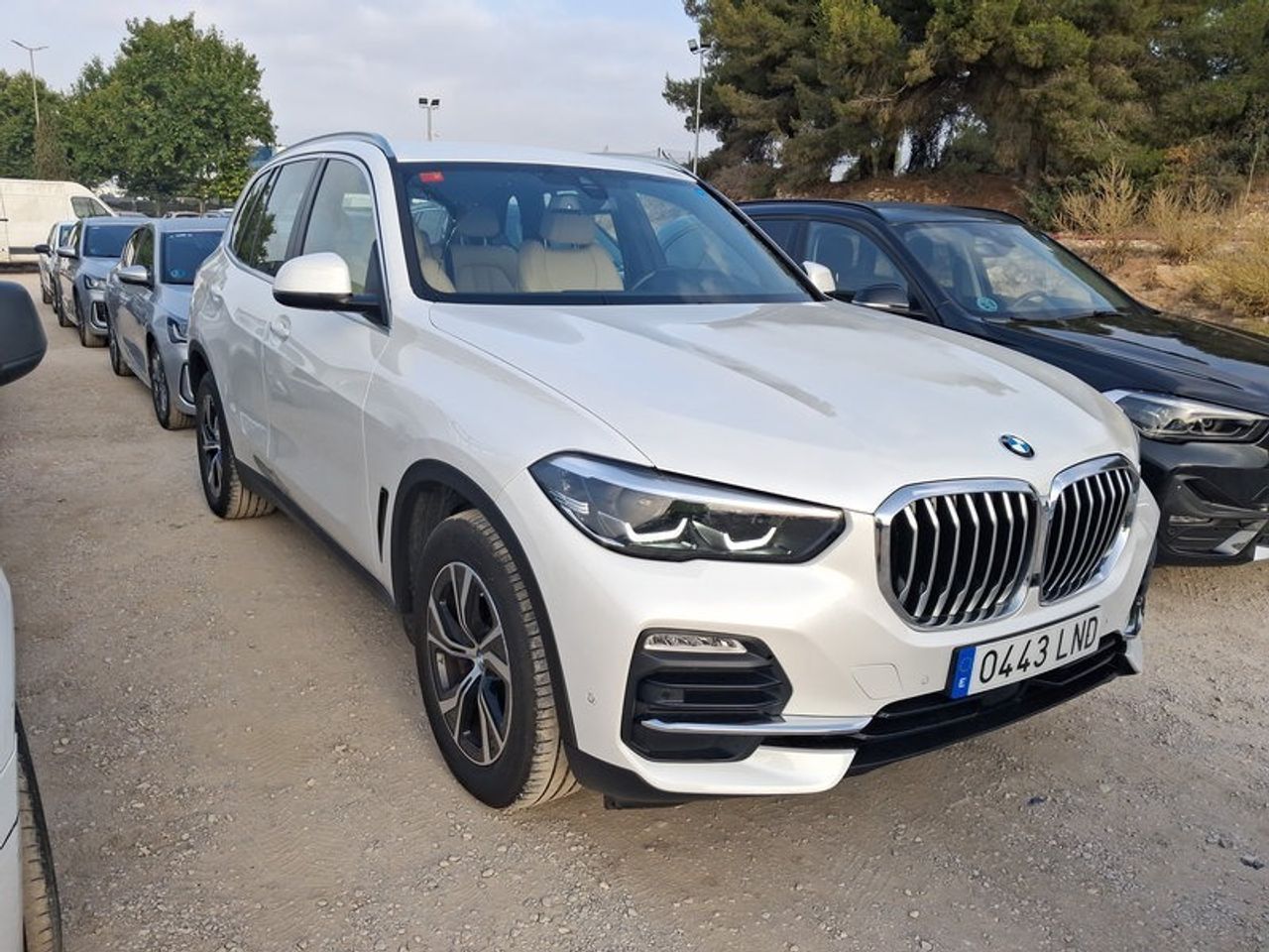 Bmw X5 Xdrive25d - Foto 2