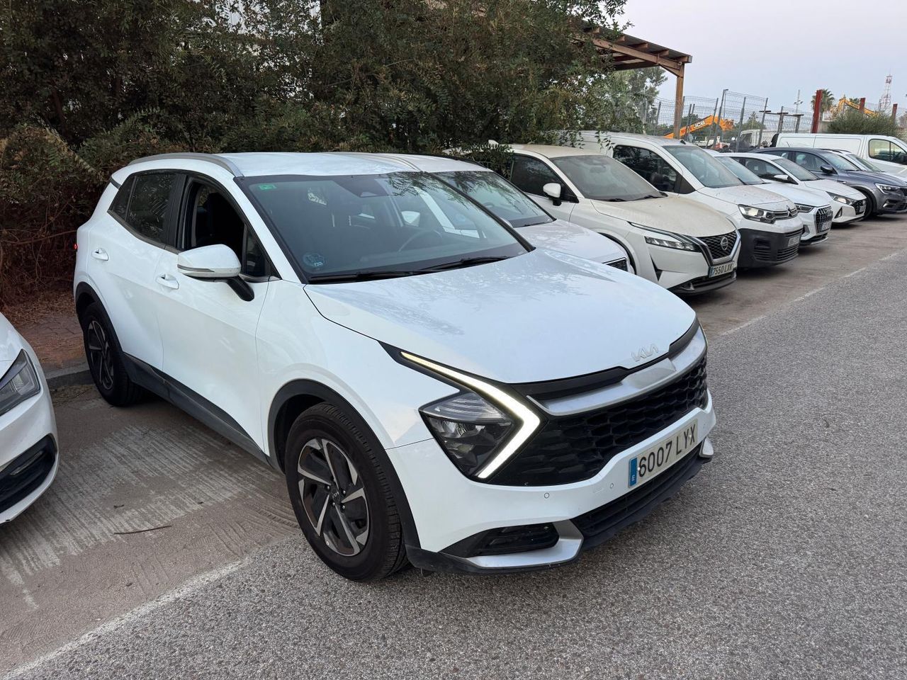 Kia Sportage 1.6 Crdi Mhev 100kw (136cv) Business 4x4 - Foto 2