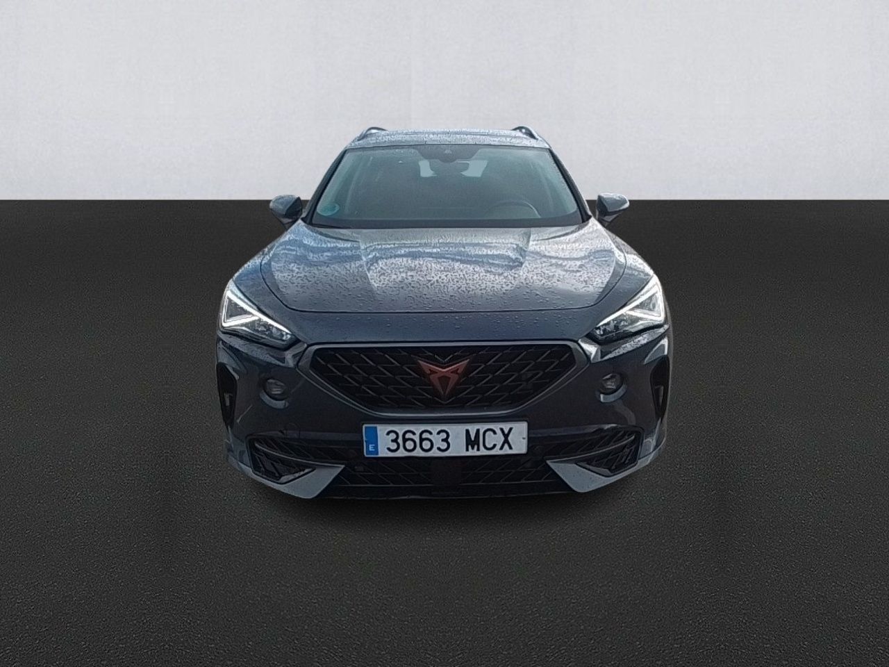 Cupra Formentor 2.0 Tdi 110kw (150 Cv) - Foto 2
