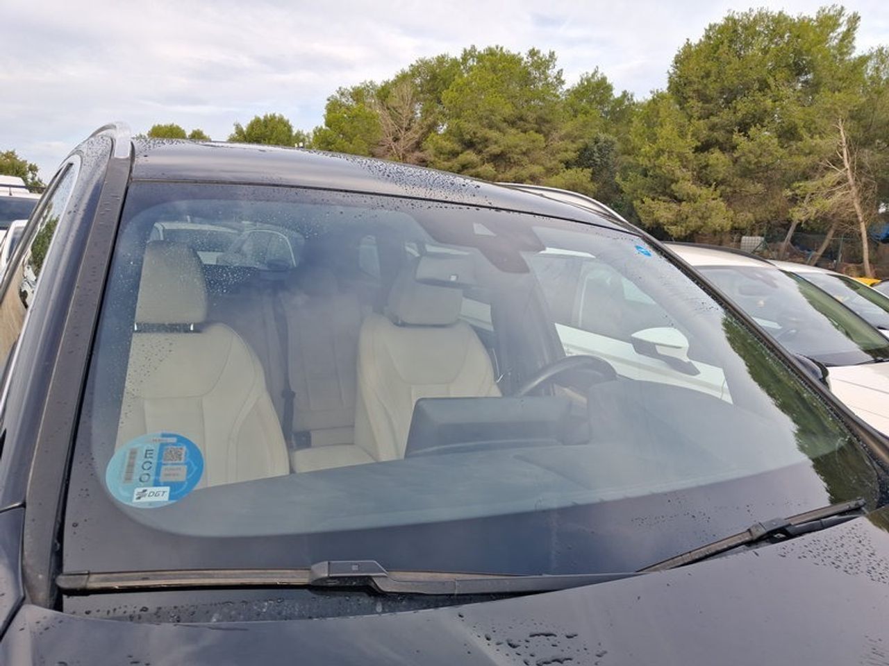 Bmw X3 Xdrive20d Xline - Foto 2