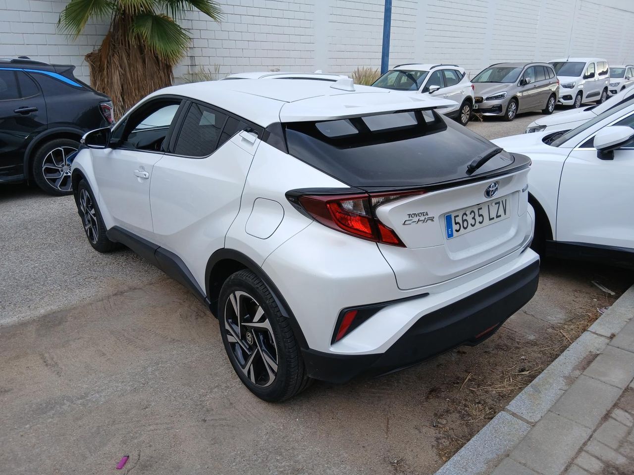 Toyota C-hr 1.8 125h Advance - Foto 2