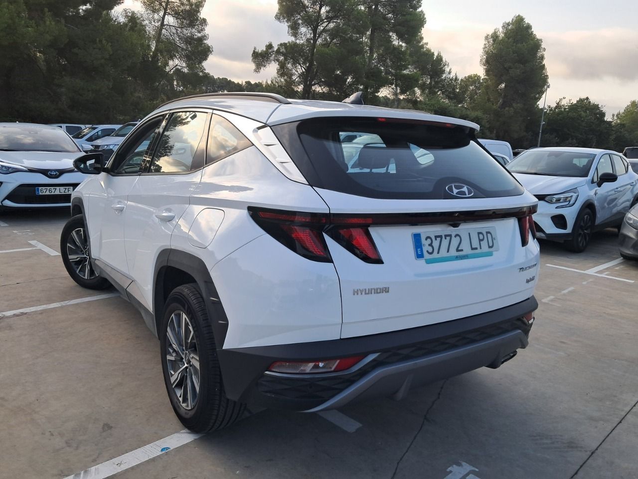 Hyundai Tucson 1.6 Tgdi 169kw (230cv) Hev Maxx Auto - Foto 2