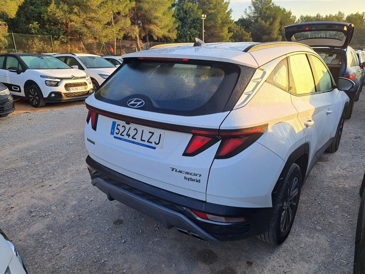 Hyundai Tucson 1.6 Crdi 100kw (136cv) 48v Maxx - Foto 2